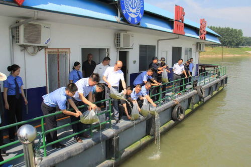 湖北省檢察機關(guān) 十年禁捕護航長江生態(tài)，固體廢物治理助力大保護