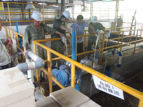 湘潭新手考證指南 固體廢物處理工證考試流程、體檢要求及污染治理工作解讀