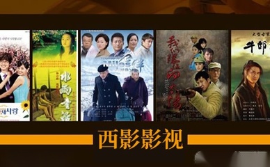 西影音像制品制作 藝術(shù)傳承與商業(yè)創(chuàng)新的融合之路